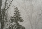 22nd Jan 2013 - Snow squall 1
