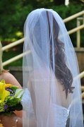 22nd Jan 2013 - the bridal veil....