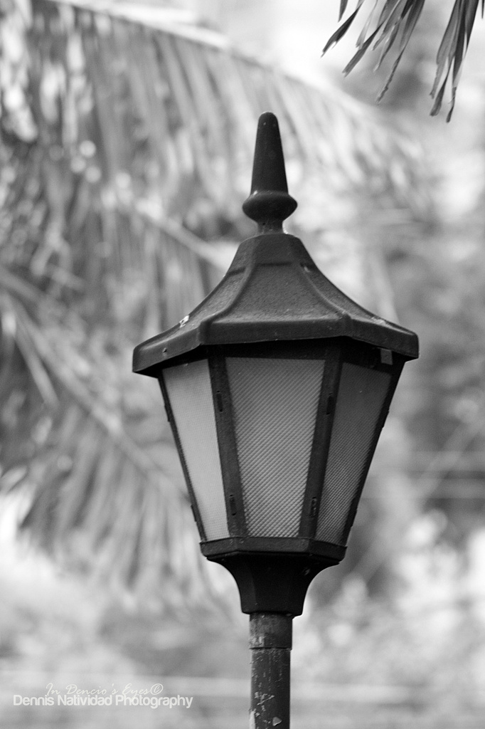 Street Lamp by iamdencio