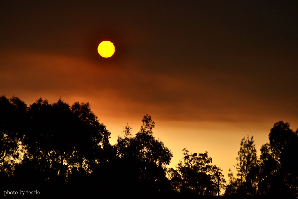 Smokey Sunset by teodw
