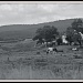 Pennsylvania Farm by allie912