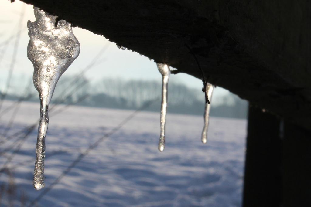 Icicles by shepherdman