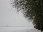 23rd Jan 2013 - Snow, cold and misty.