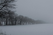 23rd Jan 2013 - Into the Mist