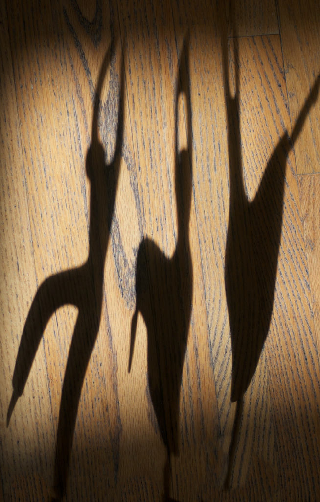 Shadow Dancers by taffy