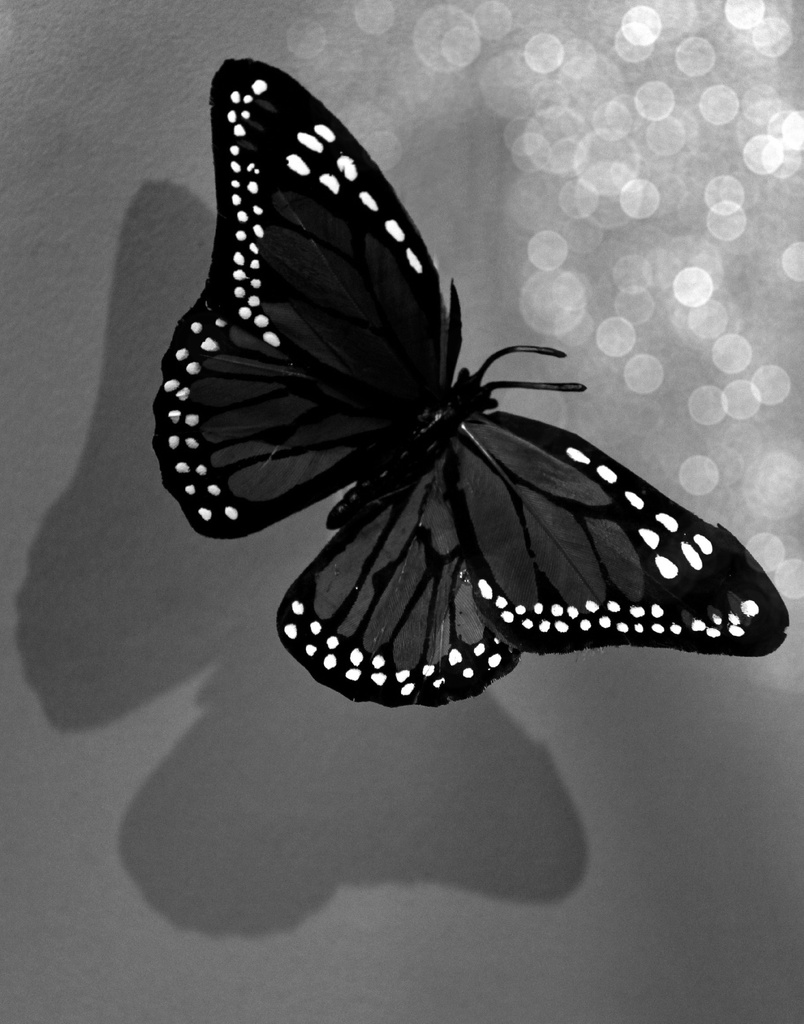 Butterfly Bokeh by digitalrn