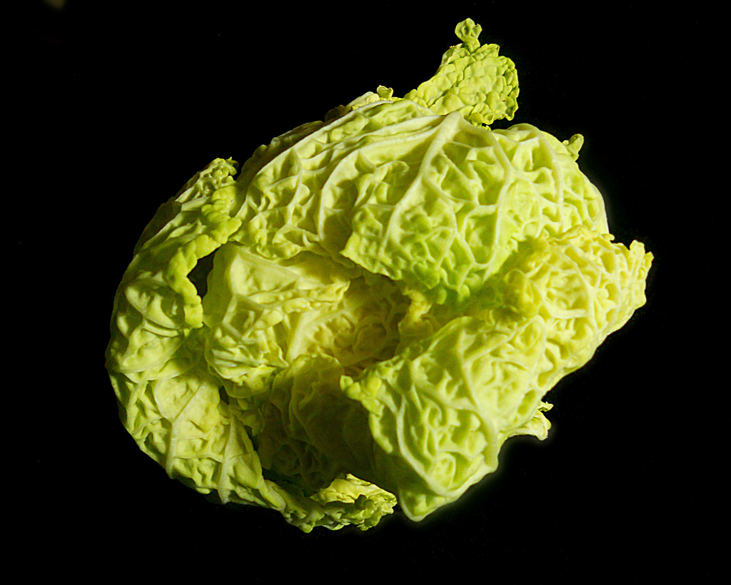 Cabbage by yentlski