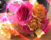 24th Jan 2013 - I 'love' roses