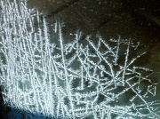 24th Jan 2013 - As close as I can come to a hoar frost.