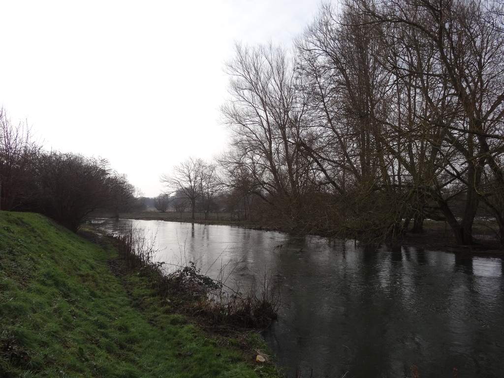 River Avon Salisbury week four - 24-1 by barrowlane