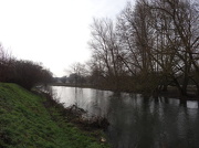 24th Jan 2013 - River Avon Salisbury week four - 24-1