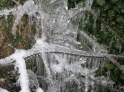 24th Jan 2013 - Icicles by the wall 