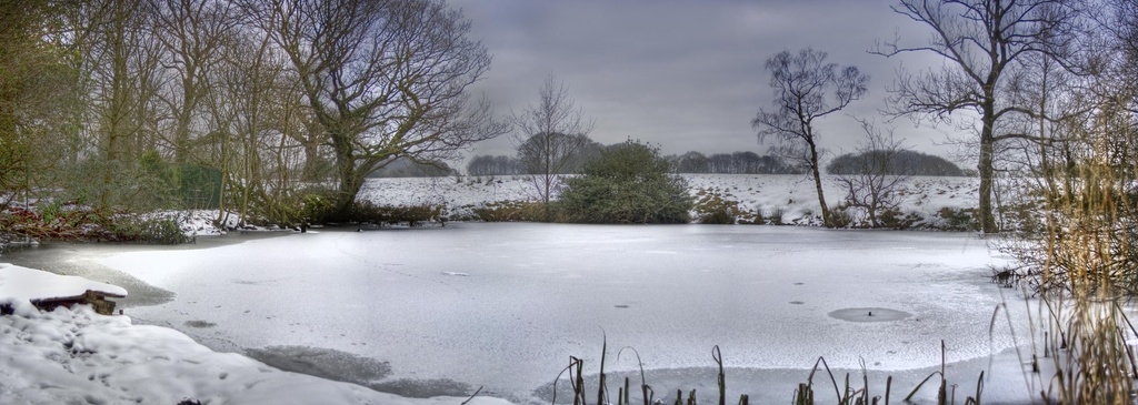 Frozen Pond. by gamelee