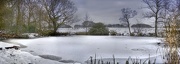 24th Jan 2013 - Frozen Pond.