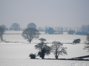 24th Jan 2013 - Our winter view. ...