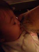 24th Jan 2013 - Puppy kisses
