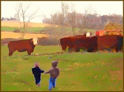 24th Jan 2013 - Boys and Cows 2