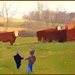 Boys and Cows 2 by olivetreeann