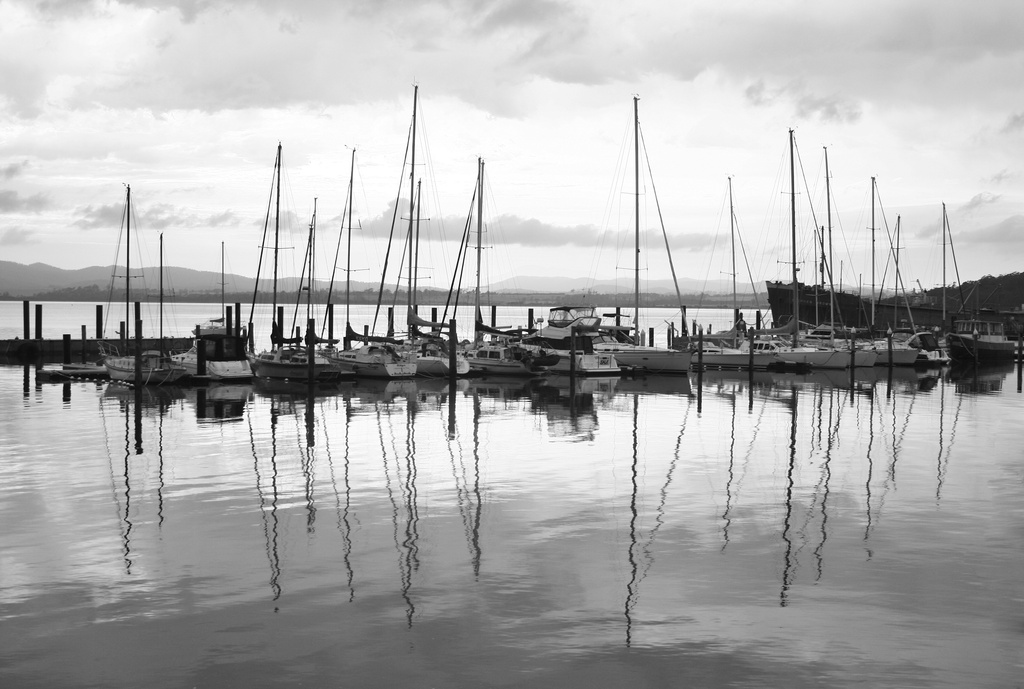 The Masts by wenbow