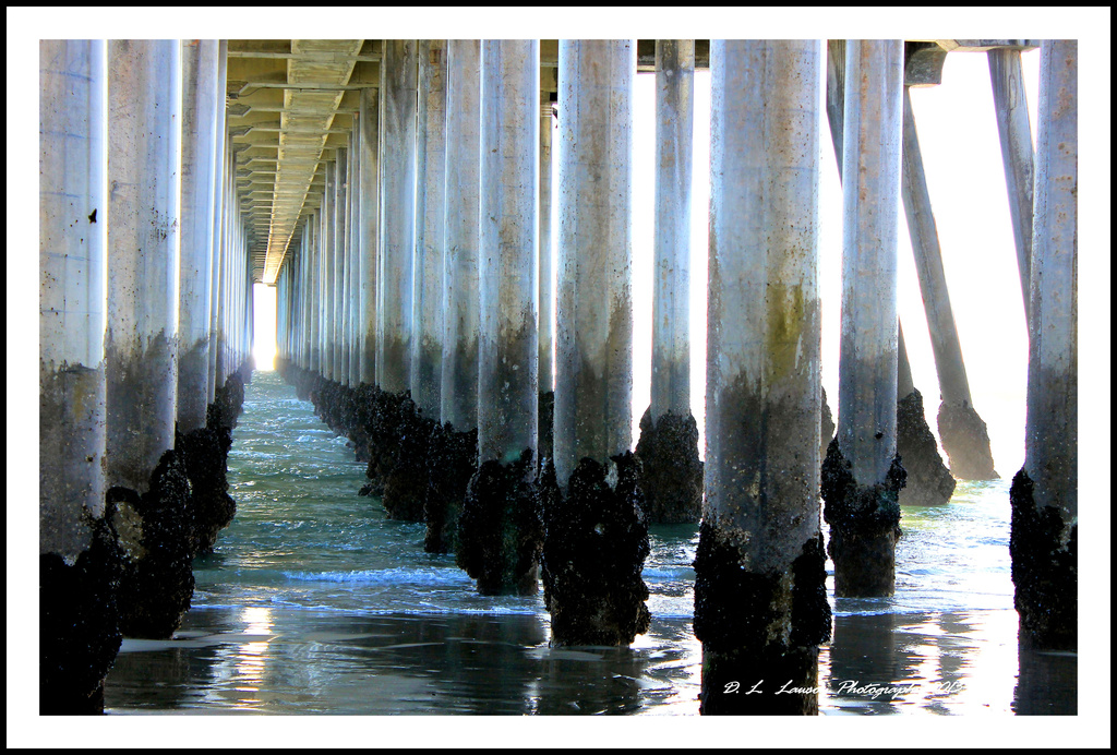 Huntington Beach Pier by flygirl