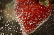 25th Jan 2013 - Strawberry with bubbles