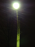 15th Dec 2012 - Street Light Abstract