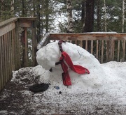 14th Jan 2013 - Snowbear Loses His Hat