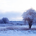 Snow scene by manek43509