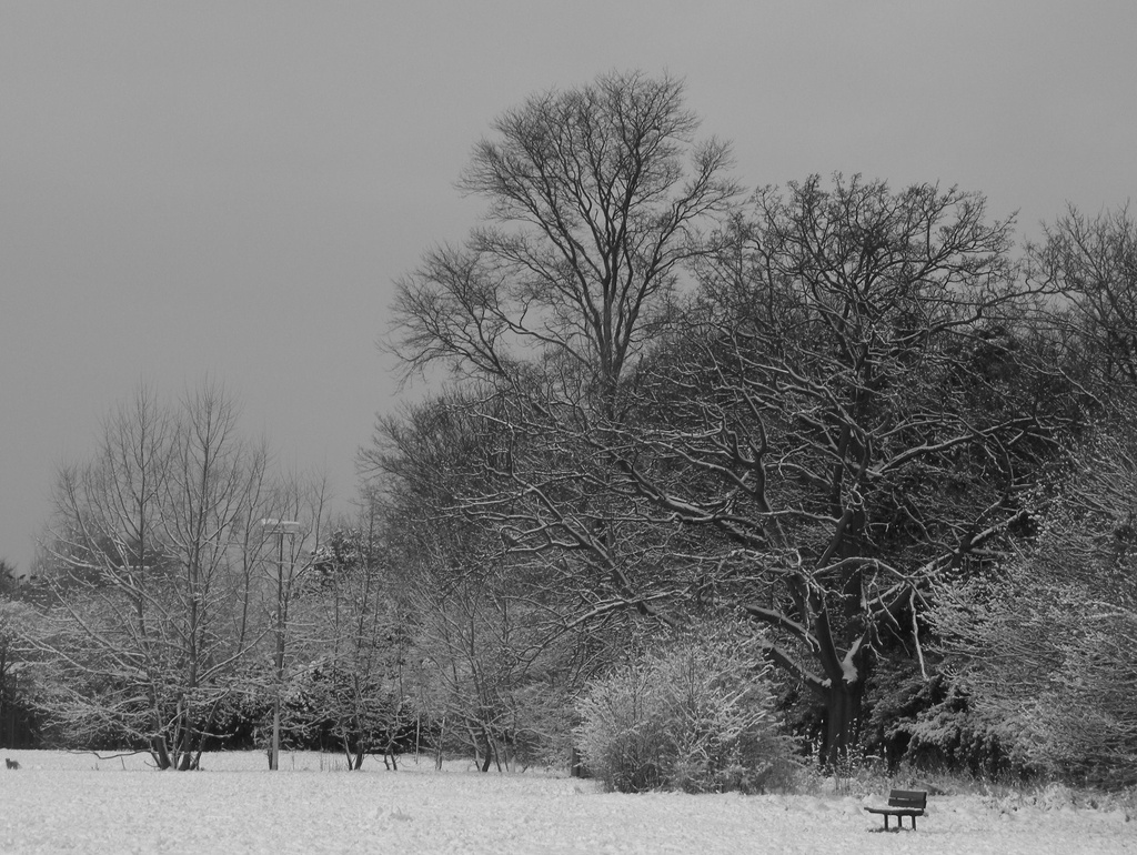 Tooting Common by oldjosh