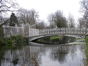 24th Jan 2013 - Bridge Morden Hall Park