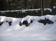 26th Jan 2013 - Snow Drift