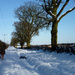 Winter walk in Bestwood by phil_howcroft