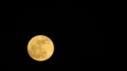 26th Jan 2013 - Chasing the Moon