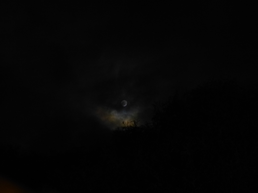Almost Full Moon by harrowjet
