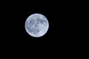 26th Jan 2013 - Wolf Moon