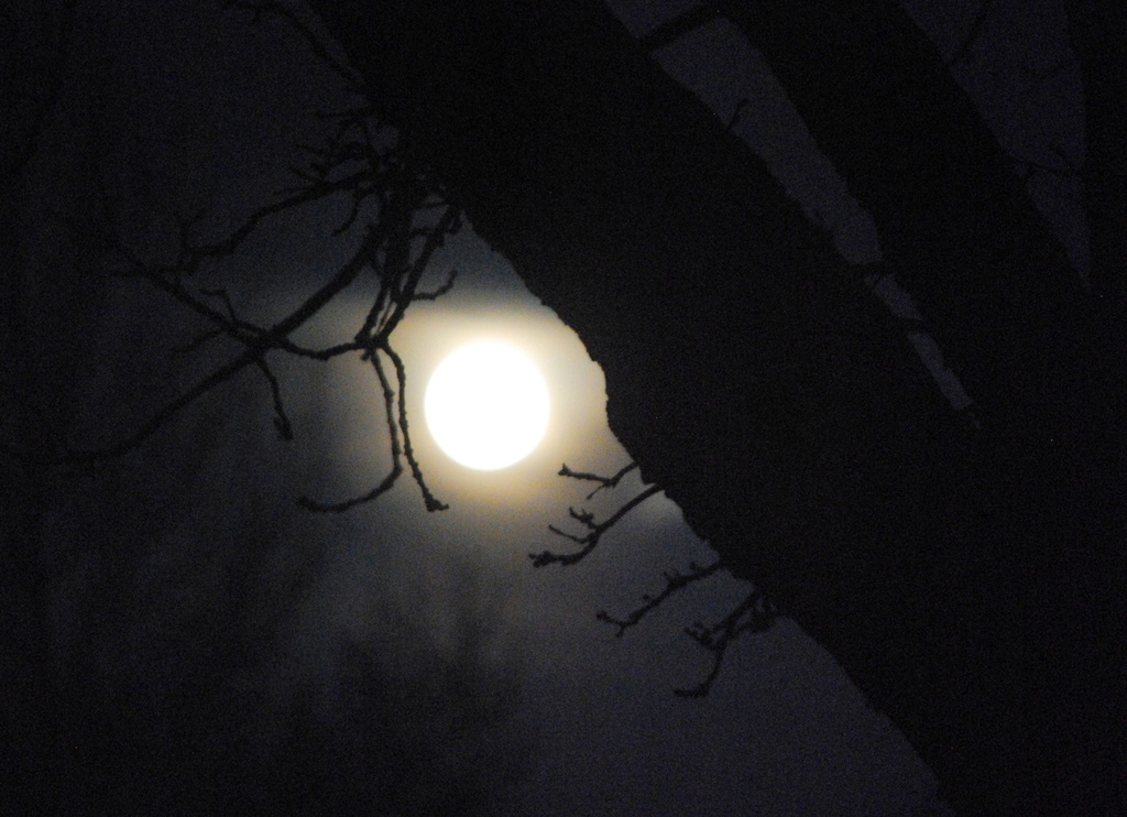 Moon by kareenking