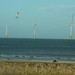 Redcar beach and the new wind turbines by craftymeg