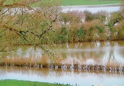 28th Jan 2013 - Now the snow has gone , floods appear !!!!