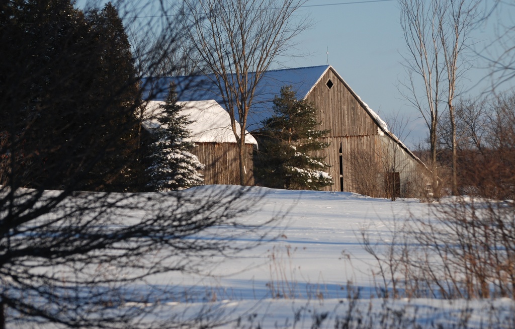 Another winter barn by farmreporter