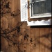 Ukiyo Window by olivetreeann