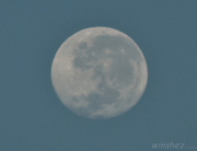 29th Jan 2013 - early morning moon