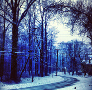 28th Jan 2013 - "The woods are lovely, dark and deep..."