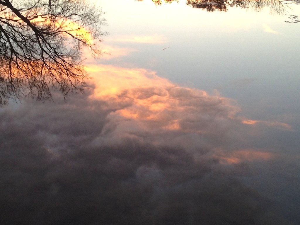 Colonial Lake reflection at sunset, 1/28/13 by congaree