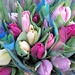 tulips for sale in 'blue' wrapping in Winchester market by quietpurplehaze