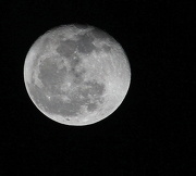 28th Jan 2013 - Moon 