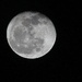 Moon  by tara11