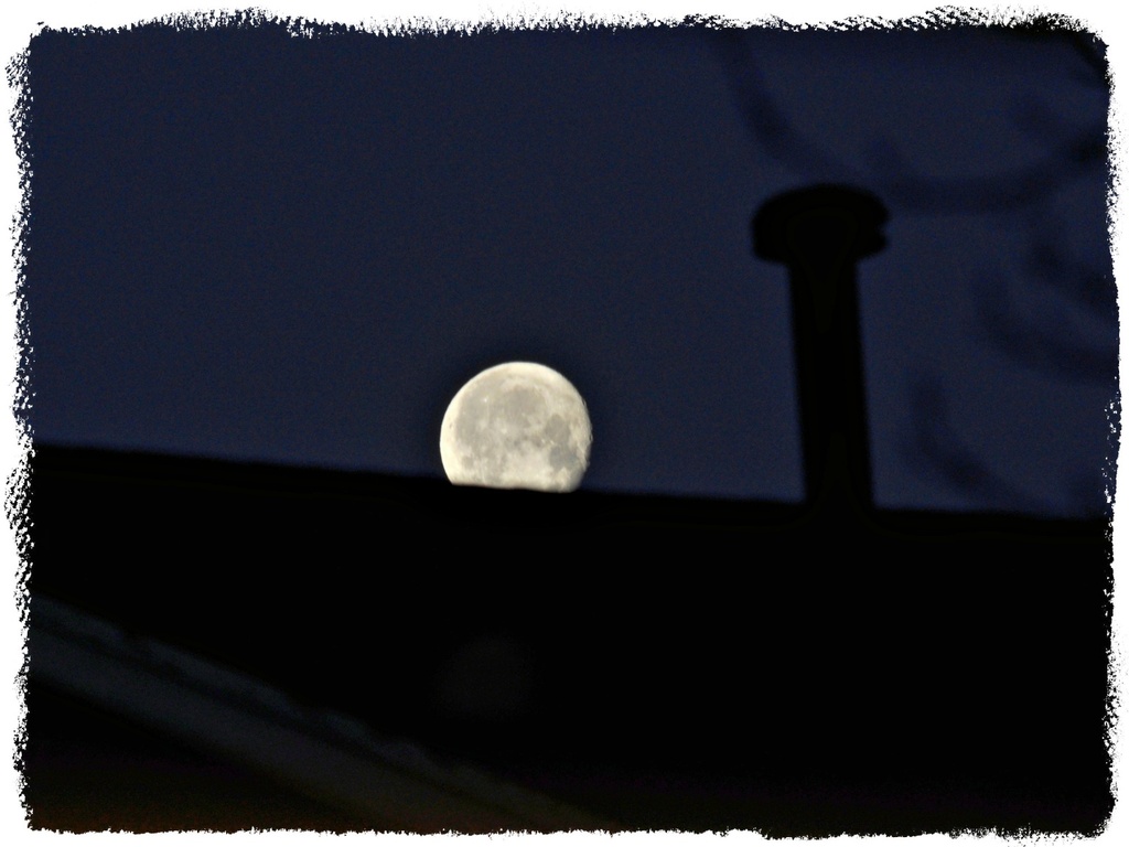 Morning Moon by peggysirk