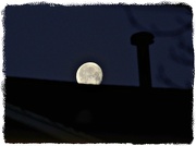 29th Jan 2013 - Morning Moon