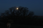 29th Jan 2013 - Moonset