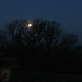 Moonset by shepherdman